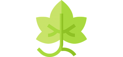 Виноградарство и виноделие