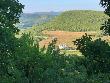 Северная сторона Крымских гор  (~10га)- земельный участок под виноградник