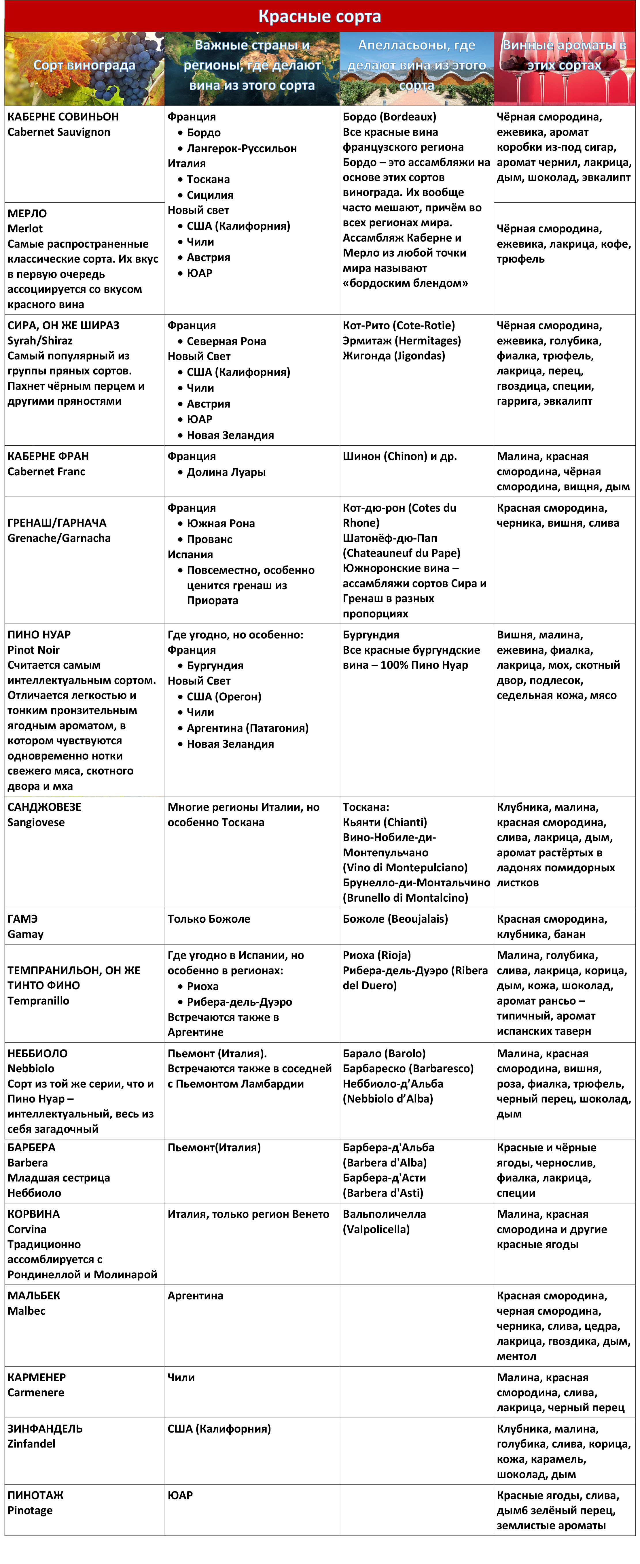 Семь шагов к выбору хорошего вина - CLER - качественное виноделие и  виноградарство