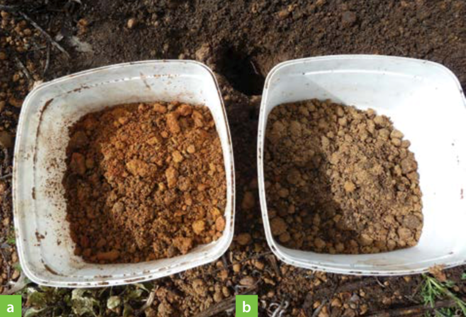 образцы почвы верхнего грунта (а) и образцы подпочвы (б) должны храниться отдельно