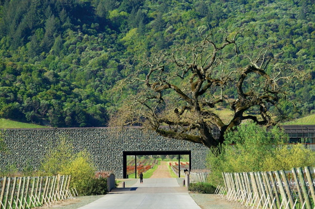 Винодельня Waterkloof в Южной Африке построена по проекту бюро Schapenberg Hills в 1993 году