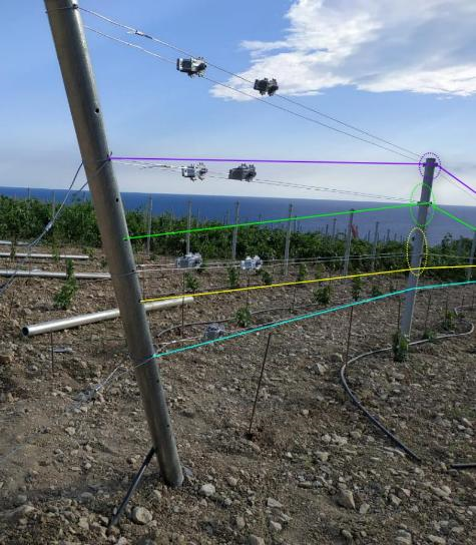Шпалера EcoTrellis на склоне у моря, Южный берег Крыма