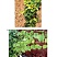 Understanding Vineyard Soils, 2nd ed. - 2015